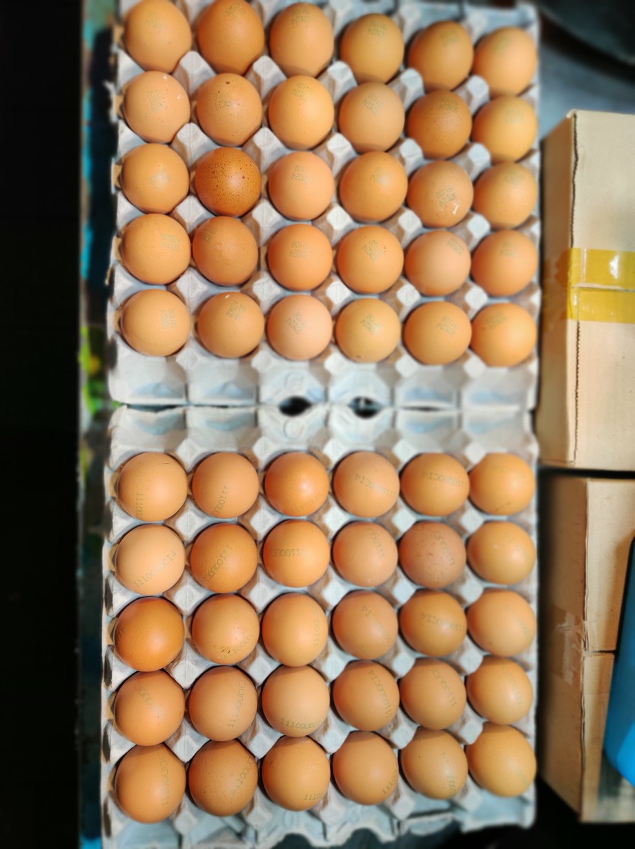 IMG_20191116_215621_Bokeh