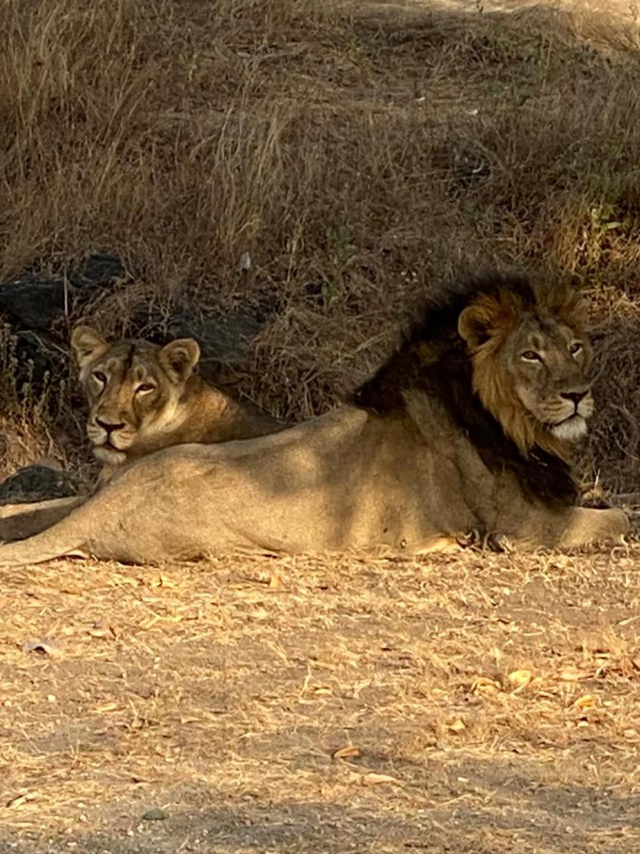 WhatsApp Image 2020-03-06 at 22.04.17