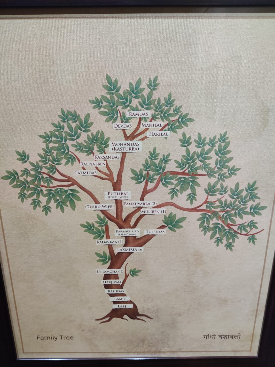 WhatsApp Image 2020-03-08 at 15.54.55