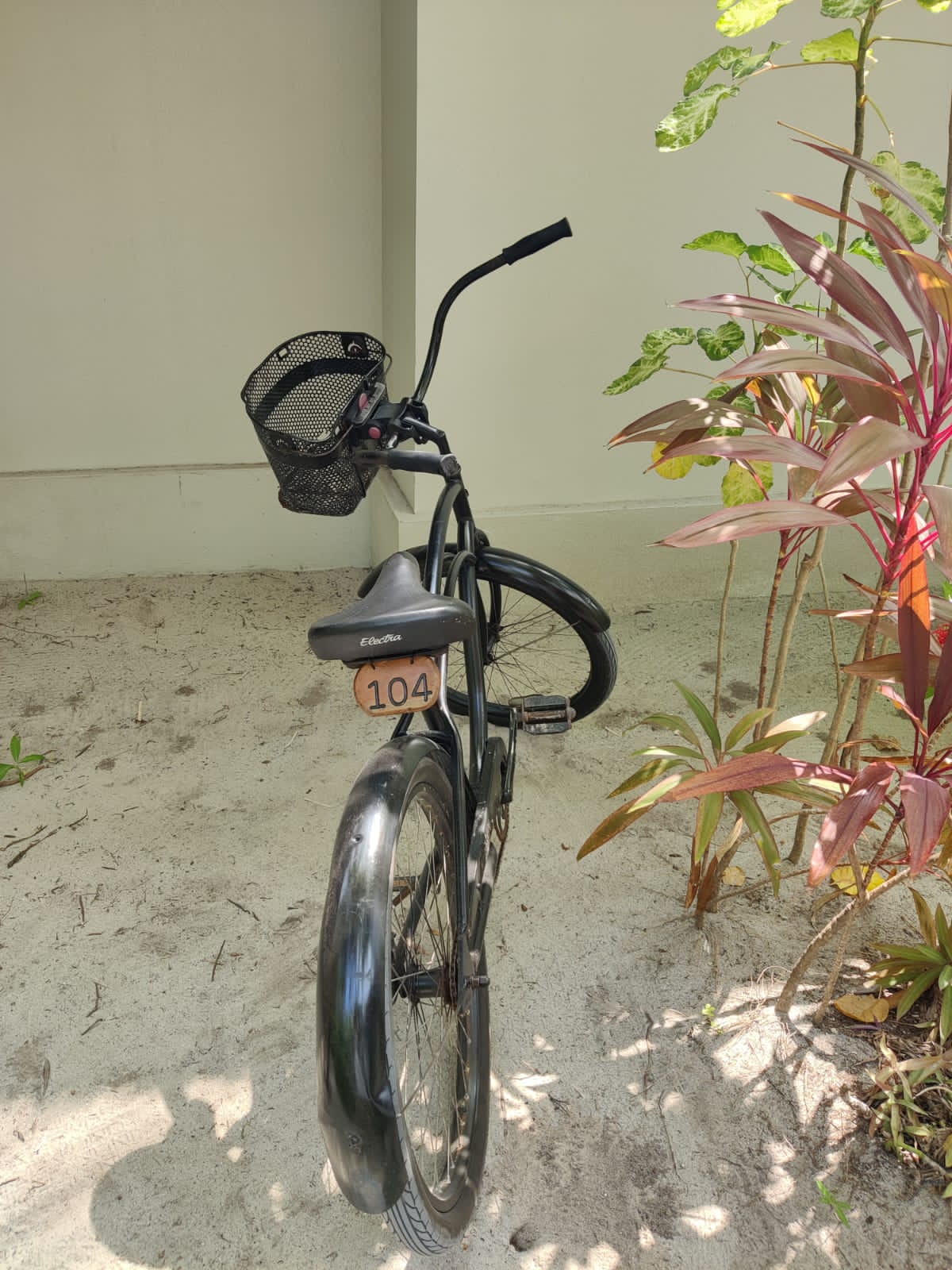 Beach Villa with Pool