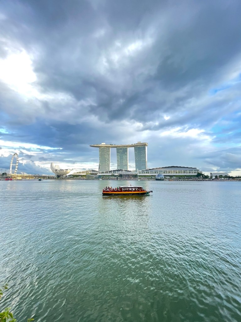 Marina Bay Sands Cruise View
