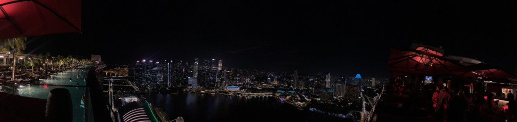 Panoramic View from Marina Bay Sands